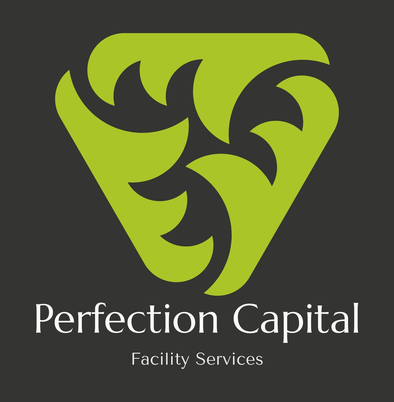 www.perfectioncapitalfs.com
